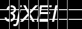 Jailed Negative captcha